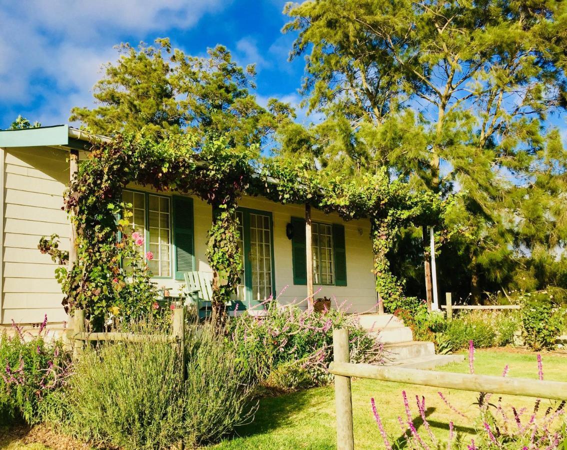 Cheverells Farm Grabouw Exterior foto